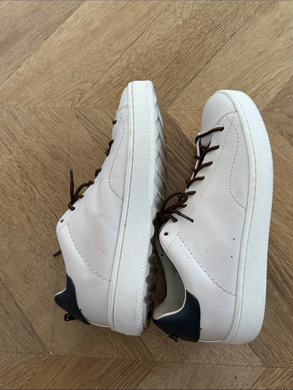 Coach low top sneakers